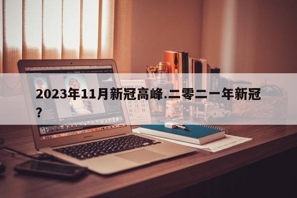 2023年11月新冠高峰.二零二一年新冠?